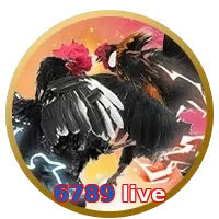 6789 live